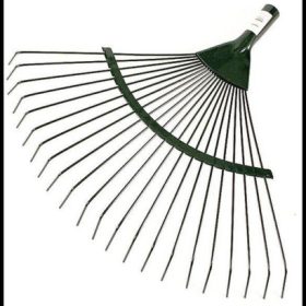 Lombseprű pálcás fej