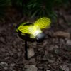 Garden of Eden Solar lámpa leszúrható Méhecske