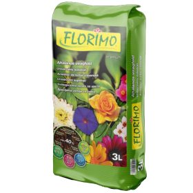 Florimo Virágföld általános 3l