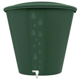 Esővízgyűjtő 200l csappal