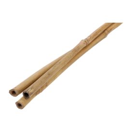 Karó bambusz 120cm 10-12 3db-os