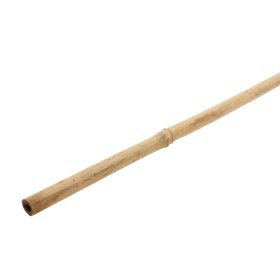 Karó bambusz 210cm 16-18