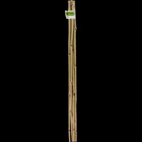 Karó bambusz 60cm 6-8 6 db-os