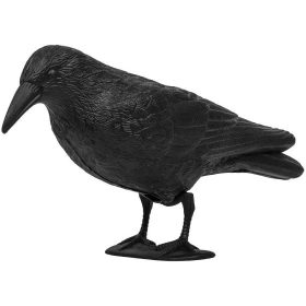 Madárriasztó varjú