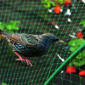 Classic Madárháló 4x20m