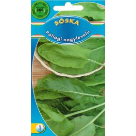 GBBR Sóska Pallagi nagylevelű