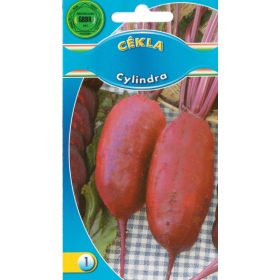 GBBR Cékla Cylindra