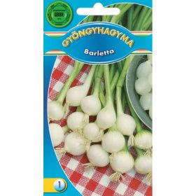 GBBR Gyöngyhagyma Barletta