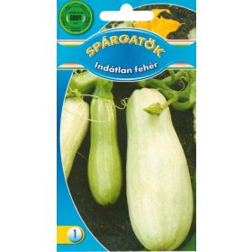 GBBR Spárgatök Indátlan fehér