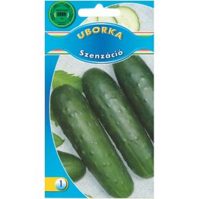 GBBR Uborka Szenzáció