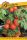 Garafarm Classic Paradicsom Vilma