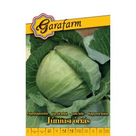 Garafarm Classic Fejeskáposzta Júniusi óriás