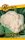 Garafarm Classic Karfiol Snow ball X