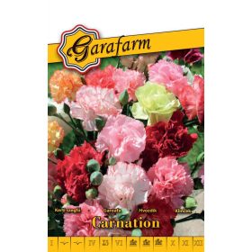 Garafarm Classic Kerti szegfű Chabaud színkeverék