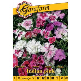 Garafarm Classic Kínai szegfű Teltvirágú színkeverék
