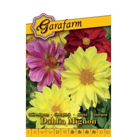 Garafarm Classic Dália Mignon színkeverék