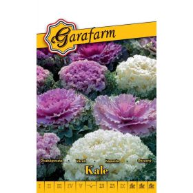Garafarm Classic Díszkáposzta Színkeverék