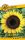 Garafarm Classic Dísznapraforgó Sunspot egyszerű