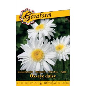 Garafarm Classic Évelő fehér margaréta Maikönig