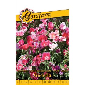 Garafarm Classic Nyári azálea Magas színkeverék