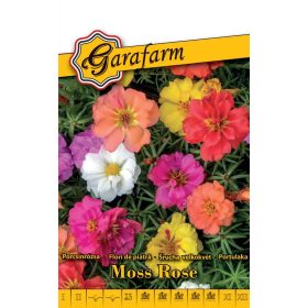 Garafarm Classic Porcsinrózsa Alacsony színkeverék