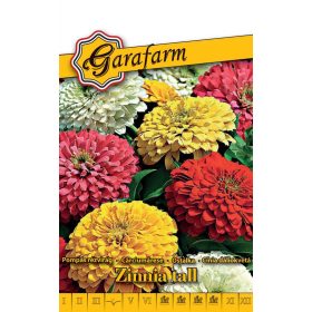   Garafarm Classic Pompás Rézvirág dáliavirágú színkeverék