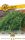 Garafarm Premium Kapor Aromatikus