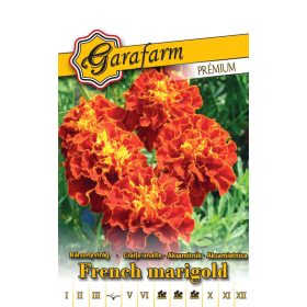 Garafarm Premium Törpe bársonyvirág Bonita carmen piros