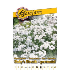 Garafarm Premium Évelő fátyolvirág Fehér