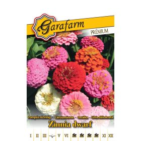 Garafarm Premium Pompás rézvirág Liliput színkeverék