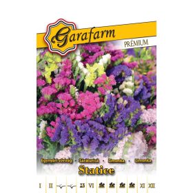 Garafarm Premium Egynyári sóvirág Színkeverék
