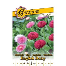 Garafarm Premium Százszorszép Teltvirágú színkeverék