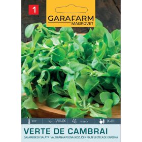 Magrovet Galambbegy Madársaláta 2g