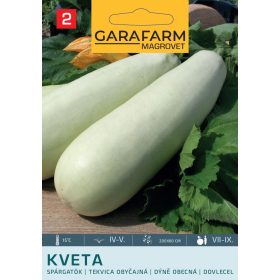 Magrovet Spárgatök Kveta 3g