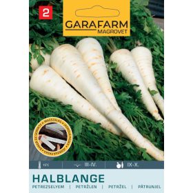 Magrovet Magszalag Petrezselyem Félhosszú 4m