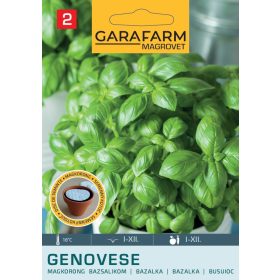 Magrovet Magkorong Bazsalikom 3db