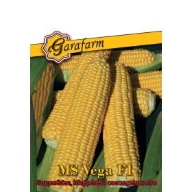 Garafarm Csemegekukorica MS Vega F1