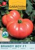 Magrovet Paradicsom BRANDY BOY F1 6 szem