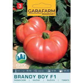 Magrovet Paradicsom BRANDY BOY F1 6 szem