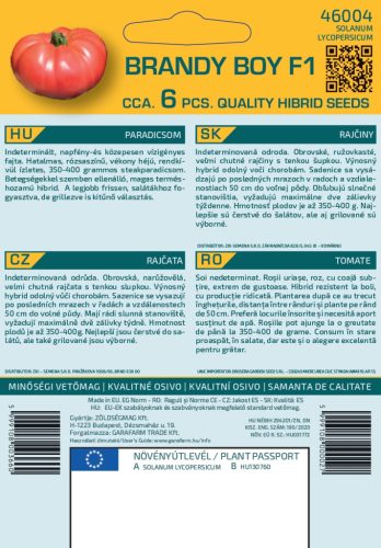 Magrovet Paradicsom BRANDY BOY F1 6 szem