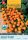 Magrovet Paradicsom GOLD RUSH 6 szem