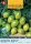 Magrovet Paradicsom GREEN ENVY 8 szem