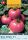 Magrovet Paradicsom BIG PINK F1 6 szem