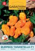Magrovet Paprika Burpees Tarantella F1 5 szem