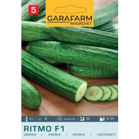 Magrovet Uborka Ritmo F1 0,2g