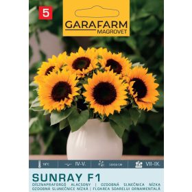 Magrovet Dísznapraforgó SUNRAY F1 alacsony 5 szem