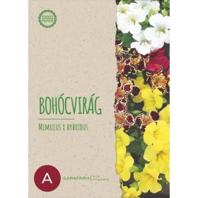 Garafarm Eco friendly Bohócvirág 15 szem