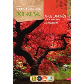 ROCALBA Japán juhar 0,5g