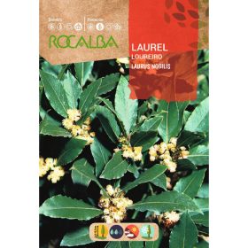 ROCALBA Babér 4g