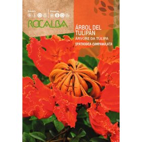 ROCALBA Afrikai tulipánfa 0,5g